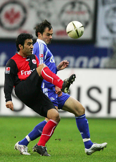 的照片中 的照片中